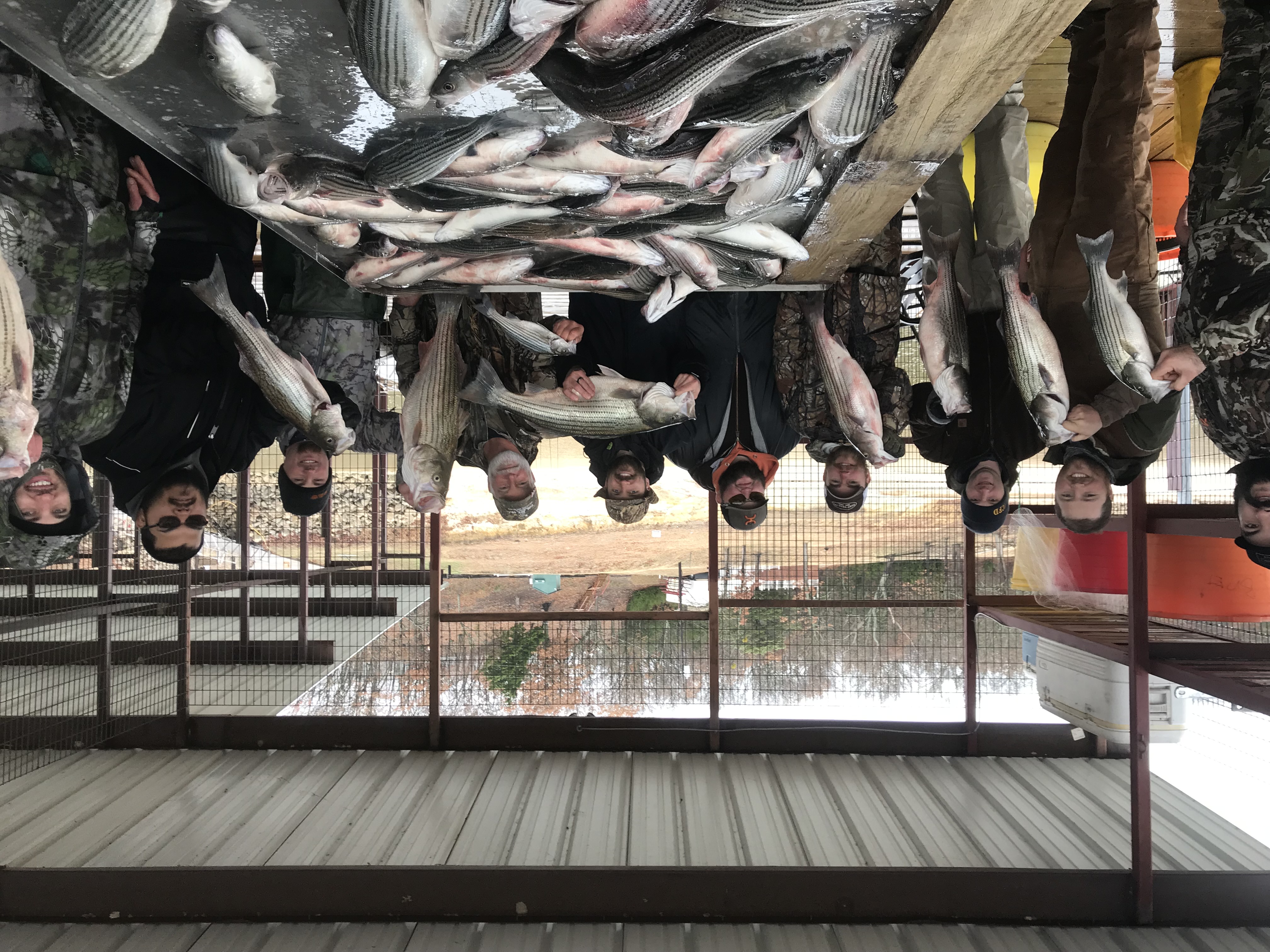 Group striper catch with Four Seasons guides